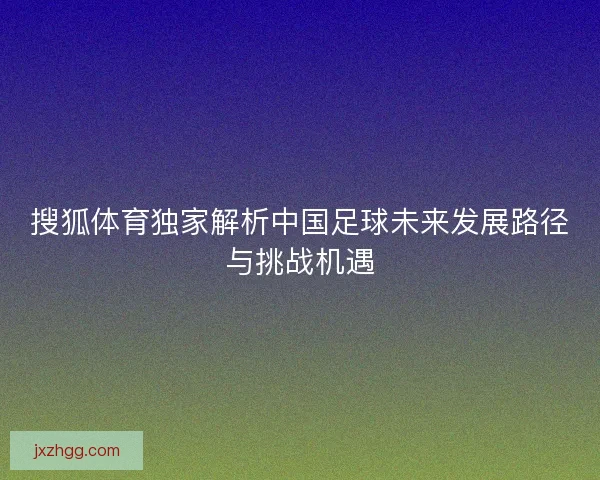 搜狐体育独家解析中国足球未来发展路径与挑战机遇